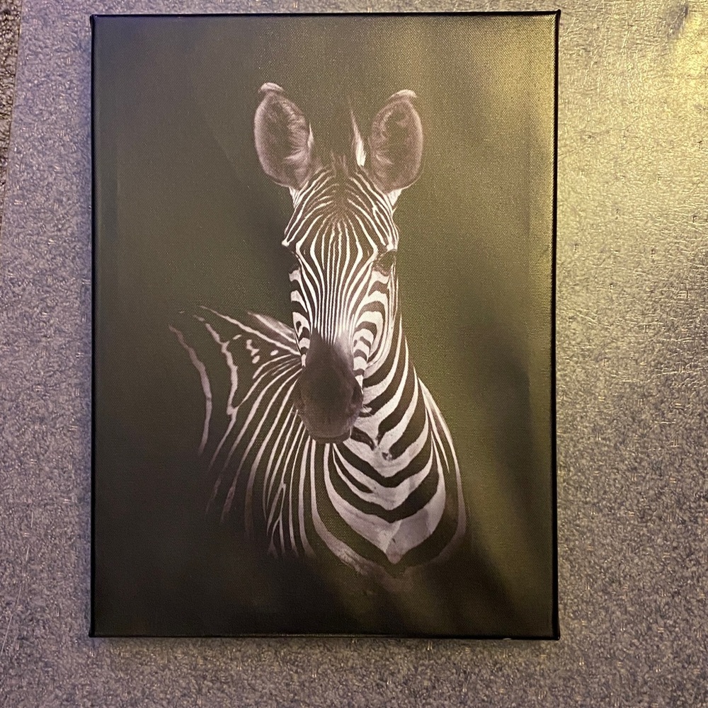 Zebra Canvas Art 16x12